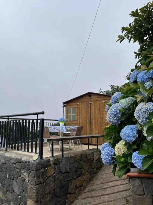 La Casita De La Pared Lägenhet Santa Cruz de Tenerife Exteriör bild