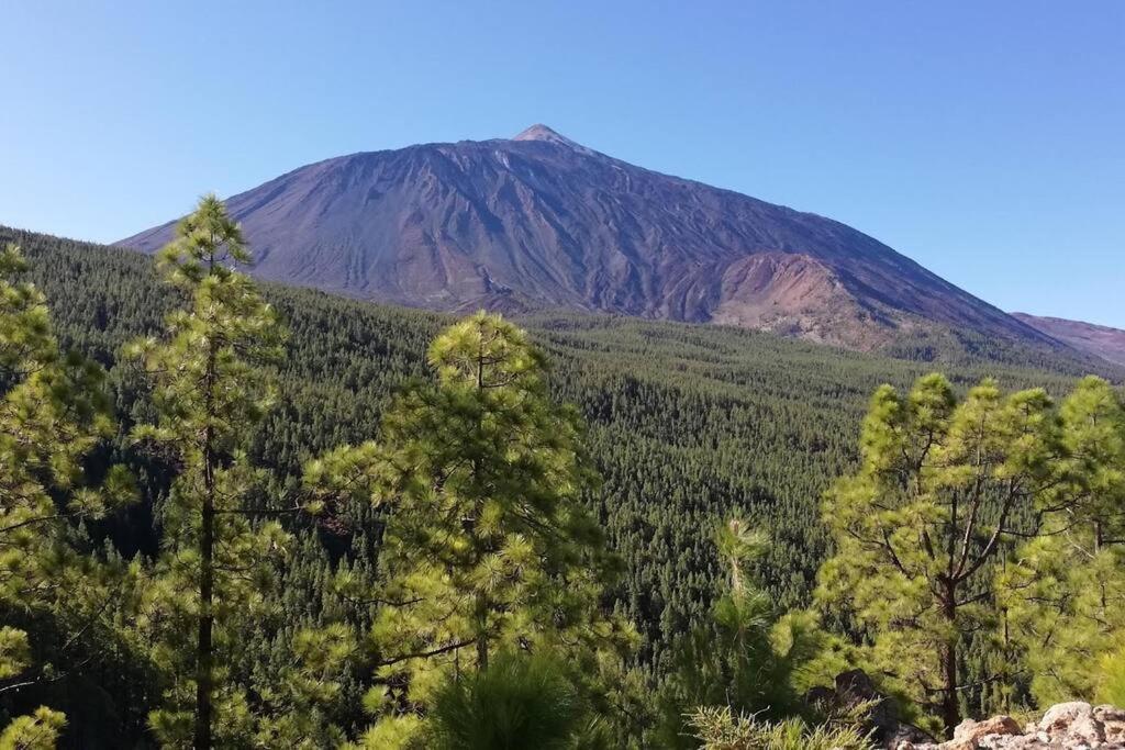 La Casita De La Pared Lägenhet Santa Cruz de Tenerife Exteriör bild