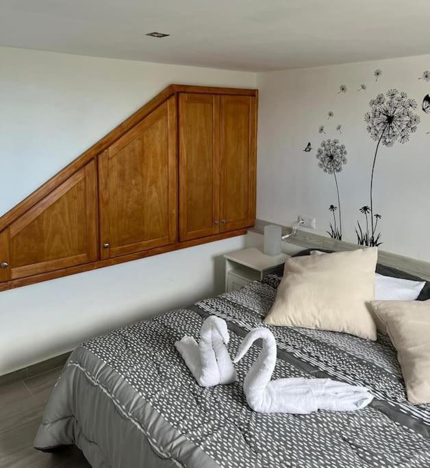 La Casita De La Pared Lägenhet Santa Cruz de Tenerife Exteriör bild