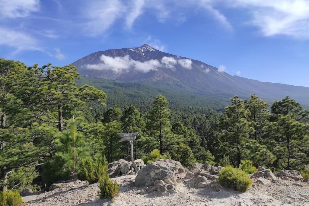 La Casita De La Pared Lägenhet Santa Cruz de Tenerife Exteriör bild